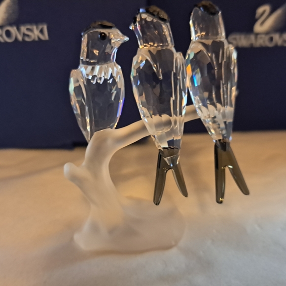 Pristine Swarovski birds swallow on a branch w box, outer box, and COA - Picture 6 of 8
